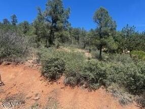 817 N Blue Spruce Cir unit 284, Payson, AZ 85541 - photo 5