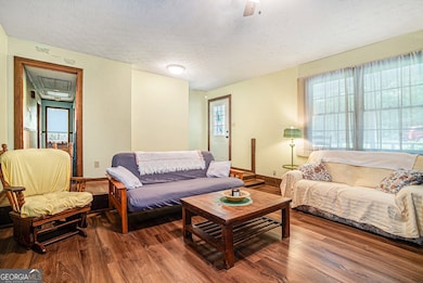 5317 Highway 81, Loganville, GA 30052 - photo 7