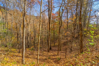 Lot 24 Rivers Edge Trail, Franklin, NC 28734 - photo 2