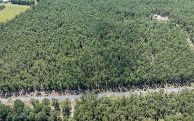 TBD 180th St, Live Oak, FL 32060 - photo 4