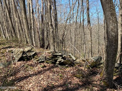 0 Burns Rd unit PWB211199, Clinton Township, PA 18472 - photo 6