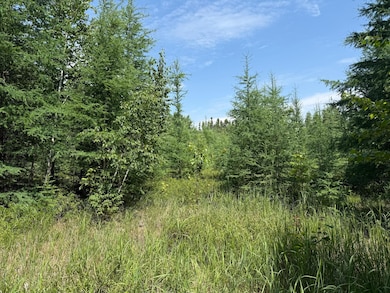 TBD Arkola Rd E, Kelsey, MN 55724 - photo 6