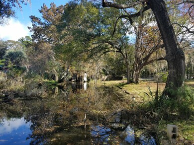 1666 Lake Shore Blvd, Jacksonville, FL 32210 - photo 7