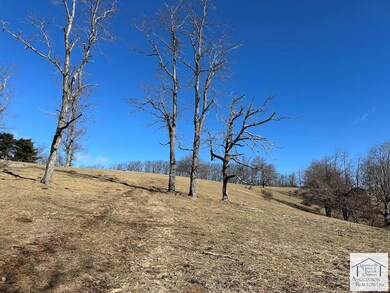 2730 Mountain View Dr, Meadows of Dan, VA 24120 - photo 5