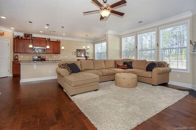 Abundant natural light & lighted fan overhead