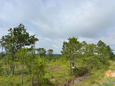 Tract 2 Tom Cat Rd, Gadsden, AL 35903 - photo 4