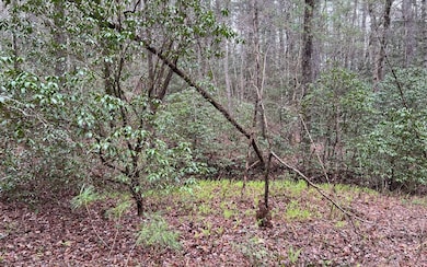 Additional View