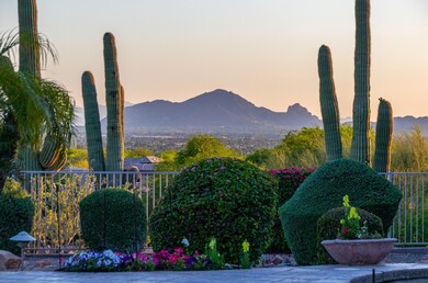 Sahuaro Camelback View