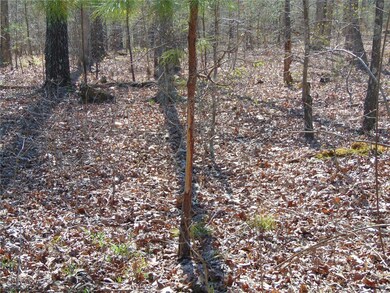 0 Tbd Co Rd 431, Poplar Bluff, MO 63901 - photo 6