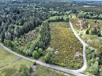 1121 W Highland Rd, Skok, WA 98584 - photo 5