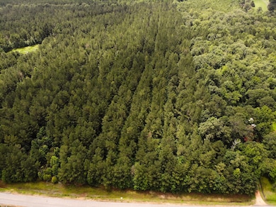 DJI_0639