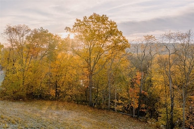 View of tree filled area