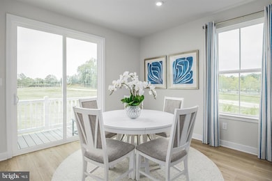 2931 Maisel St unit CLARENDON 3-STORY, Baltimore, MD 21230 - photo 6