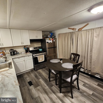 30 Mount Pleasant Trailer Ct unit A030, Middletown, DE 19709 - photo 2