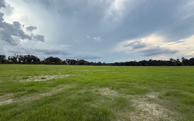 0 SW Mayo Rd, Lake City, FL 32024 - photo 2