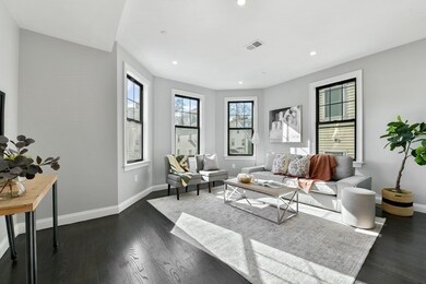 18 Albion St unit 2, Boston, MA 02119 - photo 3