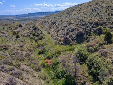 Spring aerial