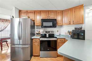 5646 Dean Dairy Rd, Zephyrhills, FL 33541 - photo 2