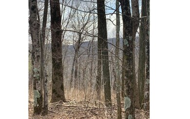 Additional View