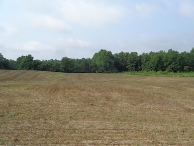 1 Old Seminary Rd, Manchester, TN 37355 - photo 3