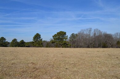 0 Mount Vernon Hickory Mountain Rd unit 2265062, Siler City, NC 27344 - photo 4