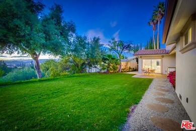 Grassy back yard