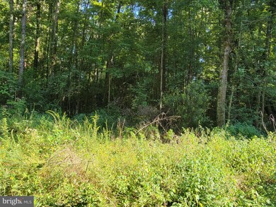 0 Azure Dr unit VAWE2000758, Colonial Beach, VA 22443 - photo 3