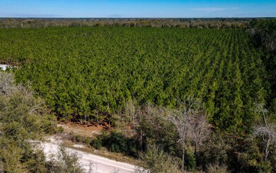 TBD 77th Rd, O'Brien, FL 32071 - photo 6