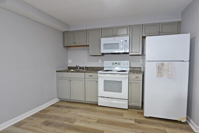 38 Emmons St unit 5, Franklin, MA 02038 - photo 3