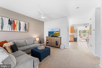 33788 Connecticut Ave, Frankford, DE 19945 - photo 3