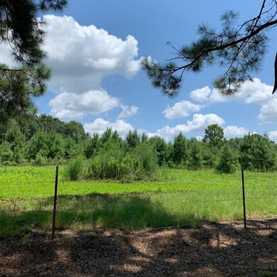 unlisted-address, Tylertown, MS 39667 - photo 4