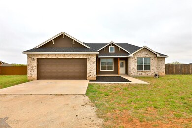 328 Hog Eye Rd, Abilene, TX 79602 - photo 4