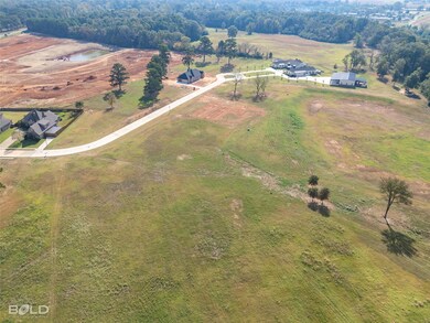 Birds eye view of property with a rural view