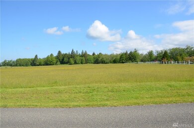 0 324th St NW, Stanwood, WA 98292 - photo 4