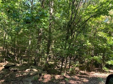 0 Lucian Sorrel Rd, Broken Bow, OK 74728 - photo 3