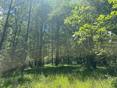 Lot 27 Honeysuckle Trail, Lincolnton, GA 30817 - photo 2