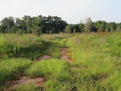 0 County Line Rd, Lumpkin, GA 31815 - photo 2