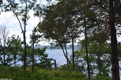 0 Wisdom Pointe Ln unit 15007288, Heber Springs, AR 72543 - photo 6