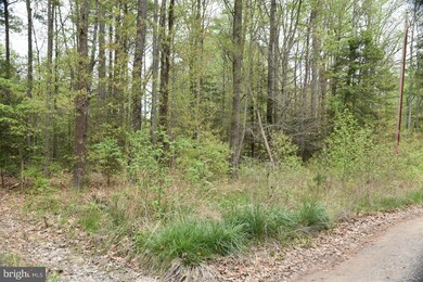 0 Hickory Ln unit 1000026275, Colonial Beach, VA 22443 - photo 6