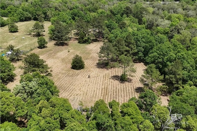 0 Pearson Ln, Robertsdale, AL 36567 - photo 5