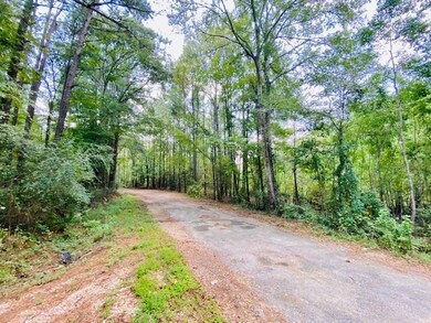 000 China Grove Rd, Tylertown, MS 39667 - photo 2