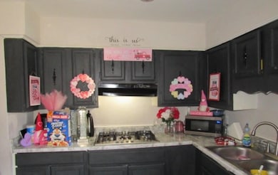 Kitchen with appliances with stainless steel finishes, under cabinet range hood, light countertops, and a sink