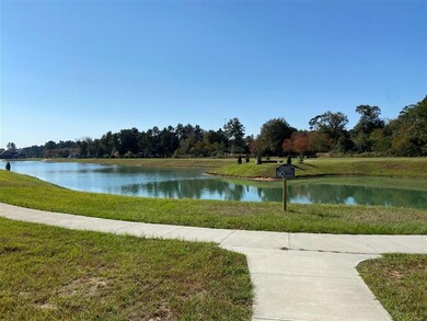 31118 Roanoke, Tomball, TX 77375 - photo 6