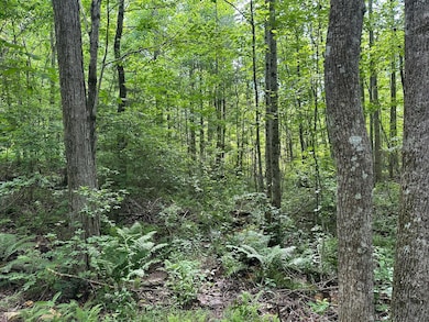 5201 Tennessee 150, Sequatchie, TN 37374 - photo 7