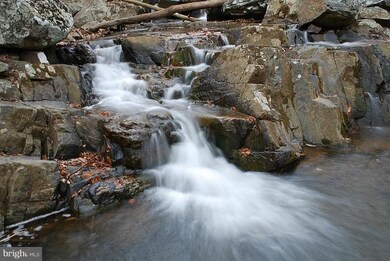 5300 Forge Rd, White Marsh, MD 21162 - photo 5