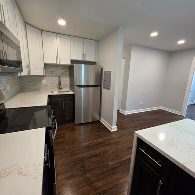420 W Aldine Ave unit 529, Chicago, IL 60657 - photo 5