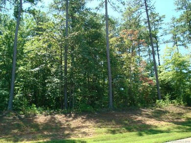 Lot 60 Butternut Ln, Denver, NC 28037 - photo 2