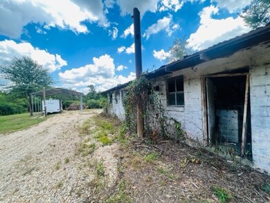 76 Tom Warner Rd, Tylertown, MS 39667 - photo 5