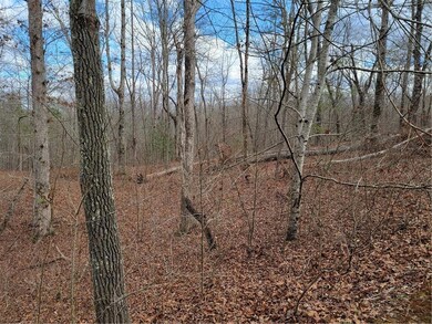 Quiet lot in a quiet community