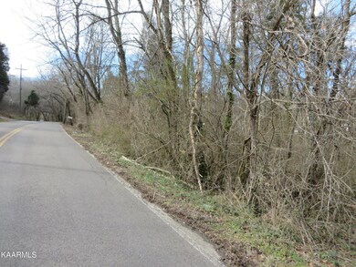 Extra Lot along creek